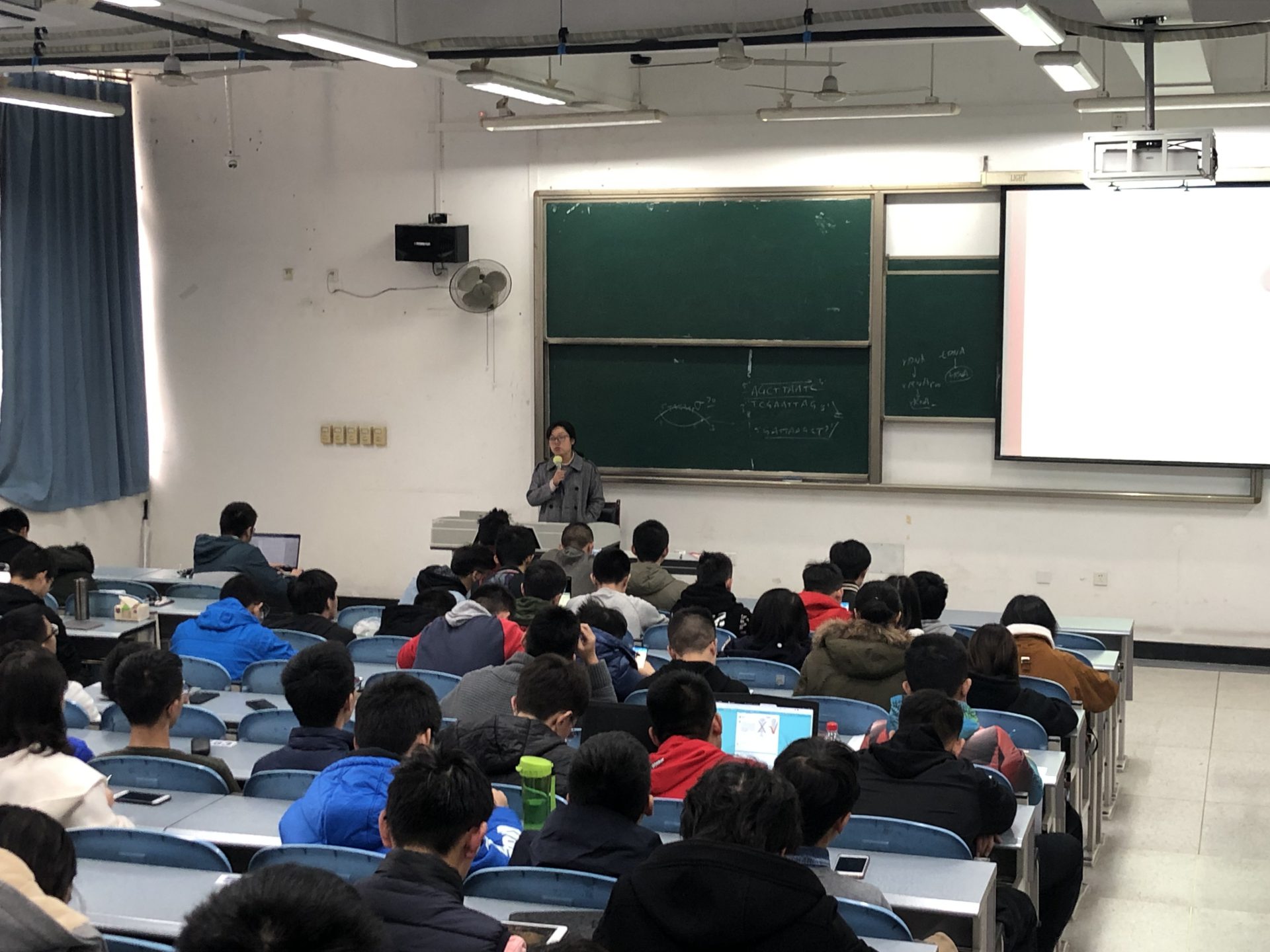 8bo8足球比分live