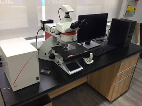 8bo8足球比分live