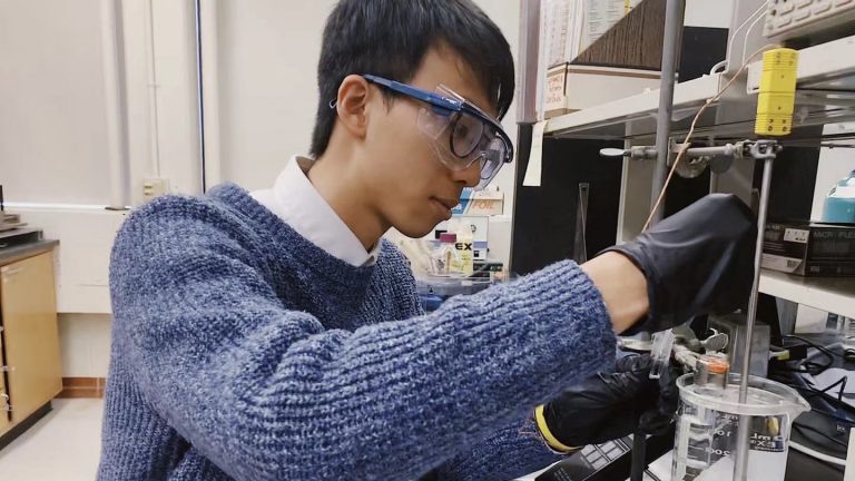 8bo8足球比分live