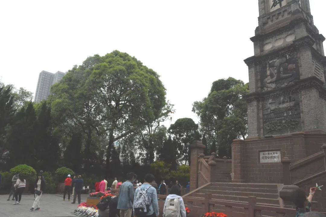 8bo8足球比分live