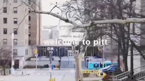 8bo8足球比分live