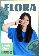 8bo8足球比分live