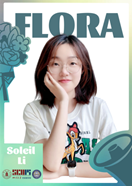 8bo8足球比分live