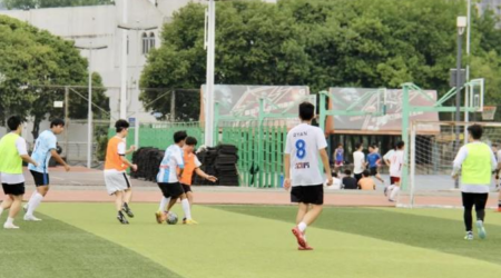 8bo8足球比分live