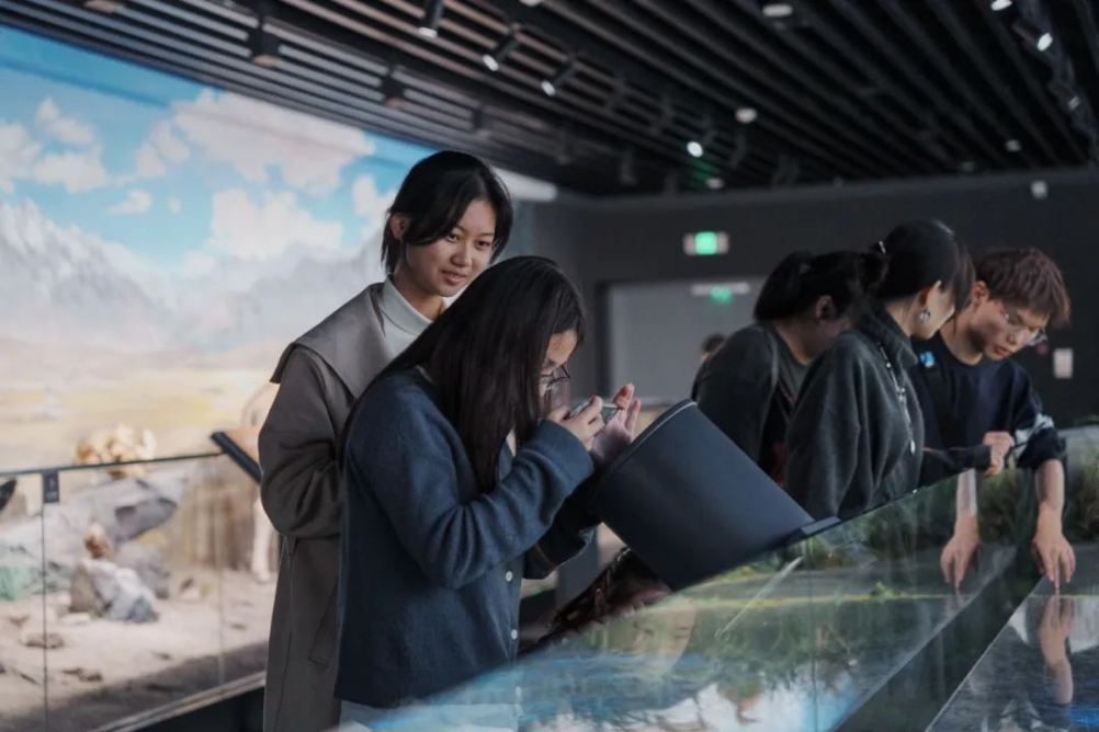 8bo8足球比分live