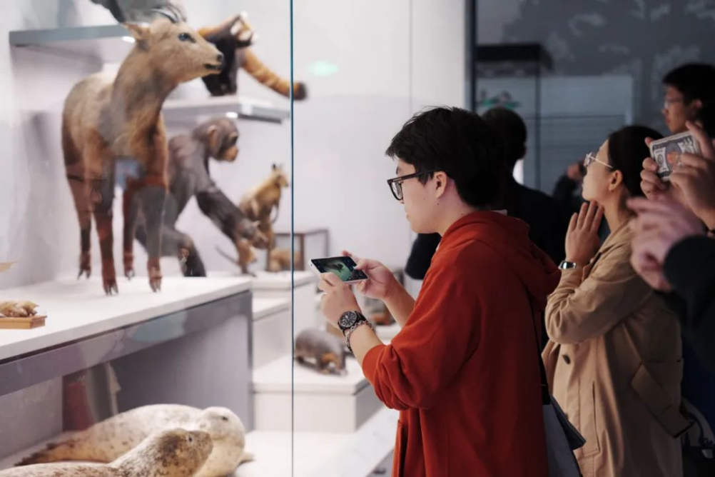 8bo8足球比分live