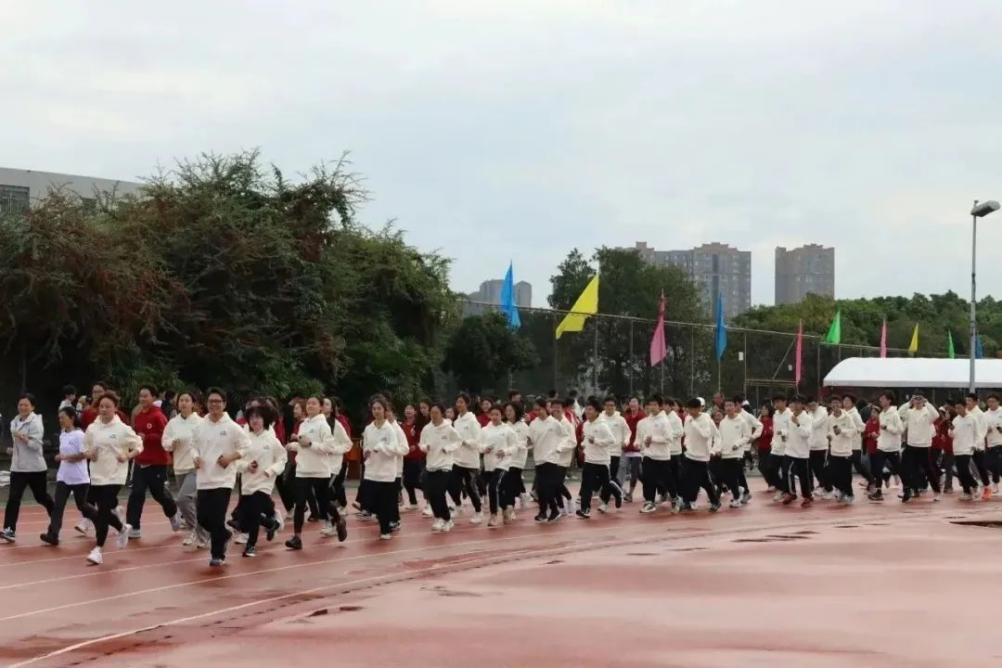 8bo8足球比分live