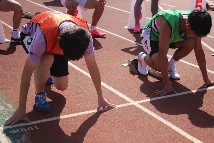 8bo8足球比分live