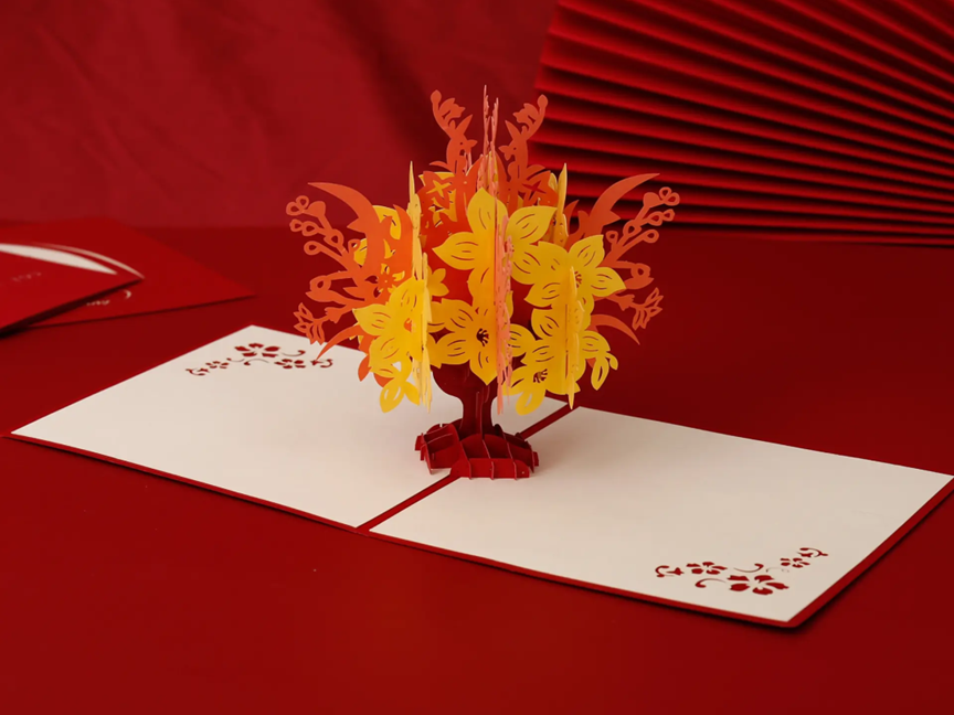 8bo8足球比分live