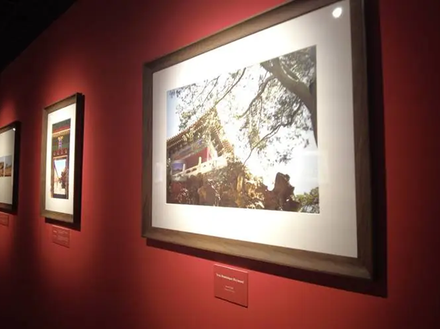 8bo8足球比分live