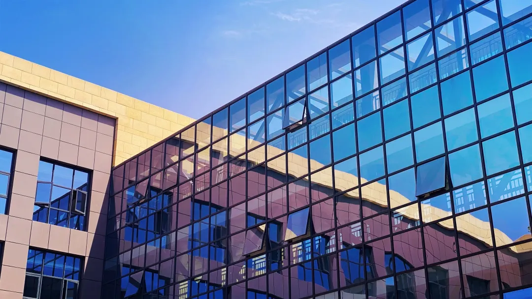 8bo8足球比分live