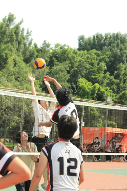 8bo8足球比分live