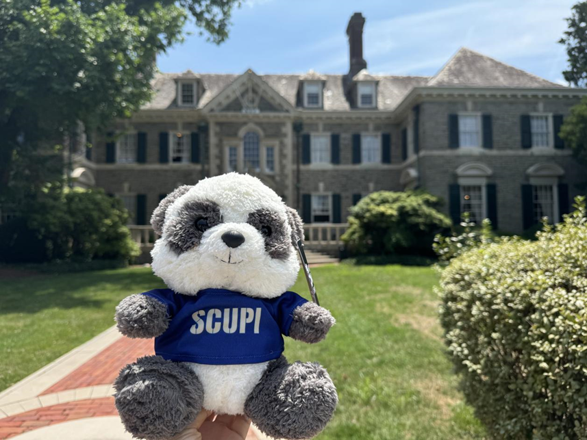 8bo8足球比分live