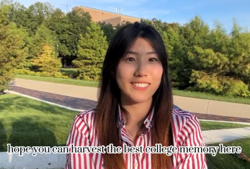 8bo8足球比分live