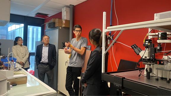 8bo8足球比分live