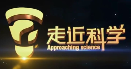 8bo8足球比分live