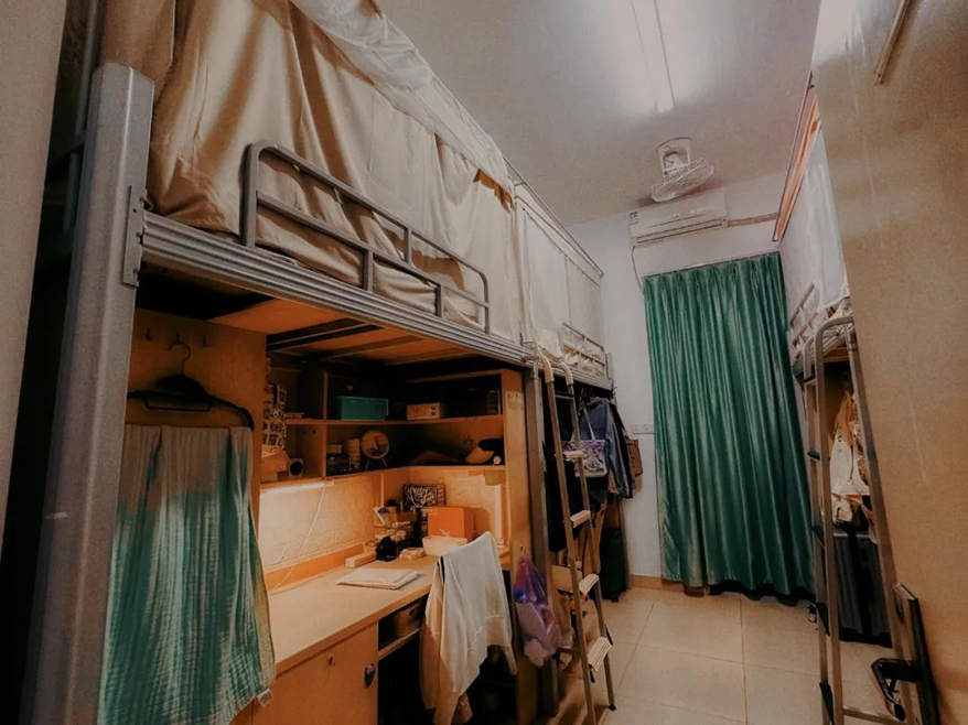 8bo8足球比分live