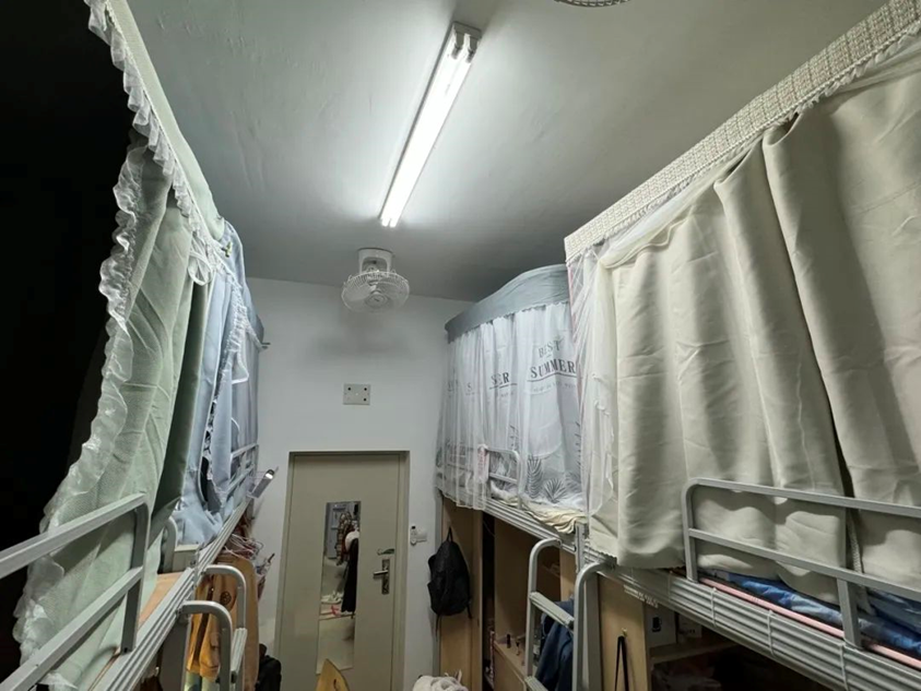 8bo8足球比分live