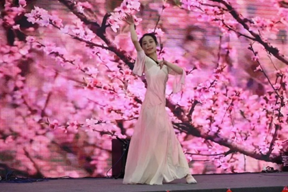 8bo8足球比分live