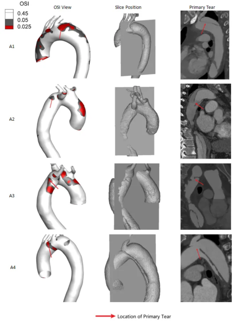 8bo8足球比分live