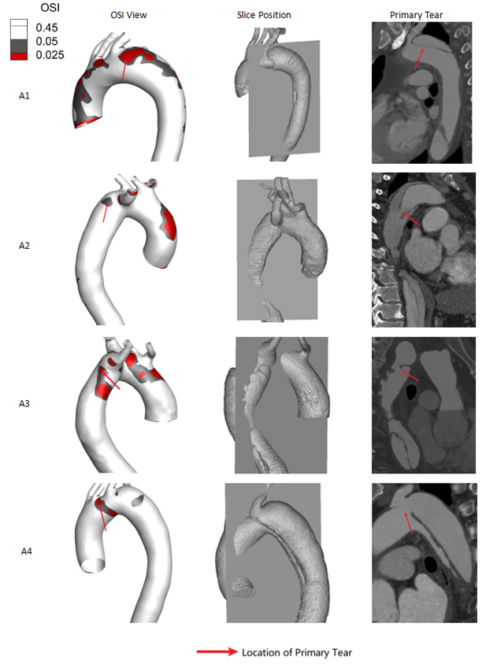 8bo8足球比分live