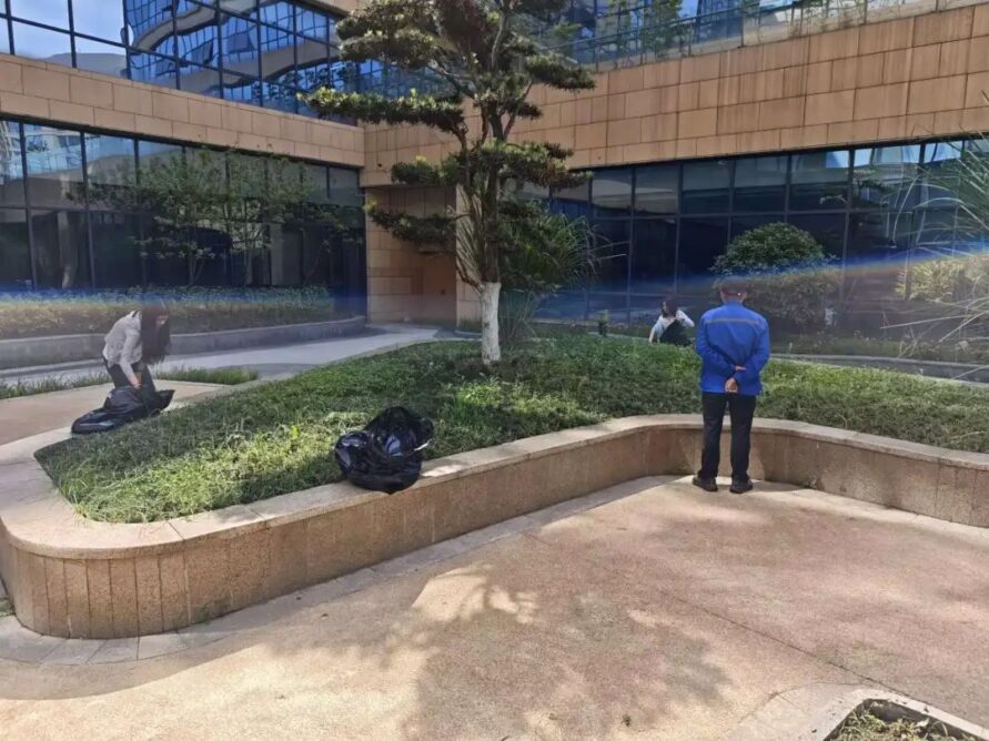 8bo8足球比分live