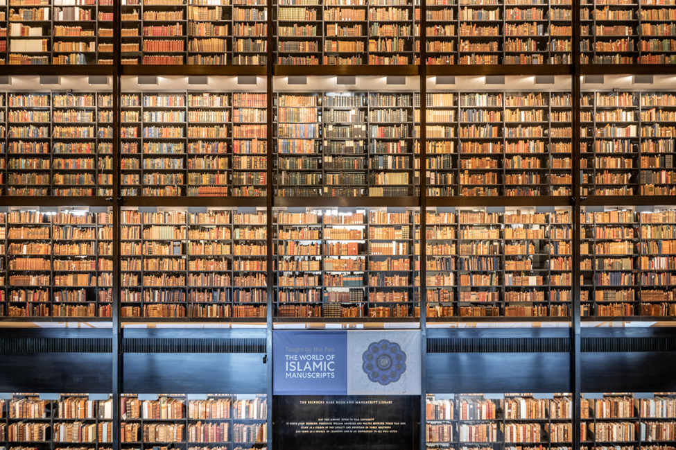 8bo8足球比分live