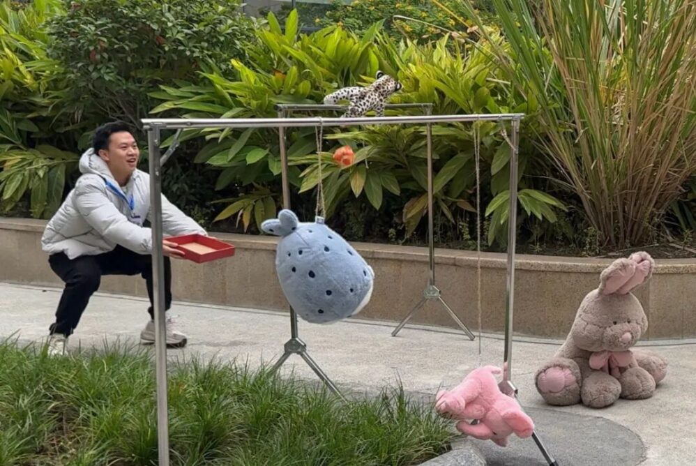 8bo8足球比分live