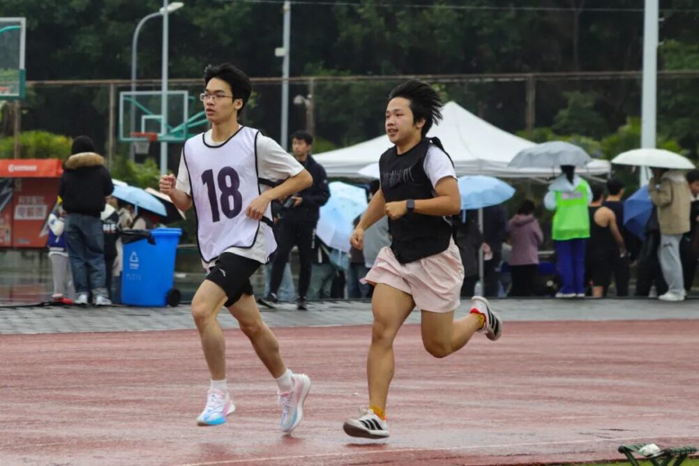 8bo8足球比分live