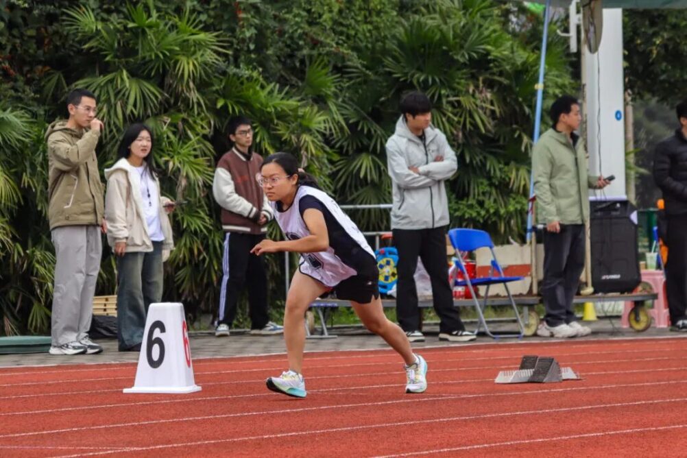 8bo8足球比分live