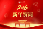 8bo8足球比分live